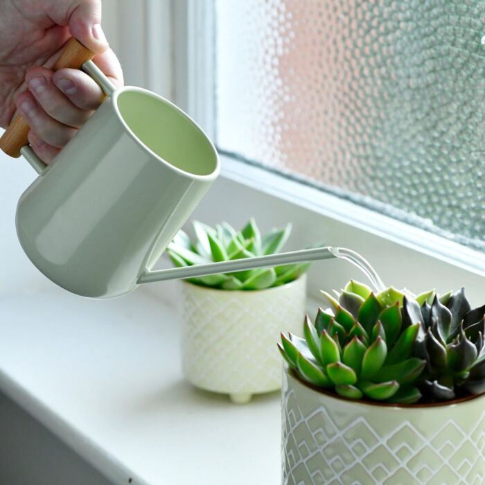 Burgon & Ball -  Indoor Watering Can - Pale Jade